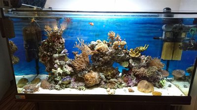 DSC_0339_1280x720.JPG