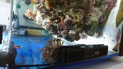 DSC_0342_1280x720.JPG