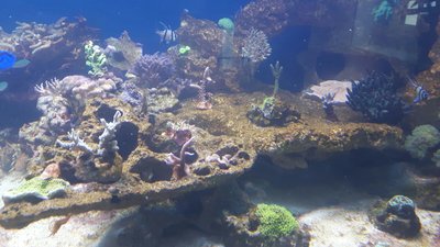 IMG-20160418-WA0038.jpg