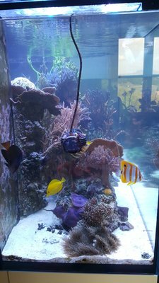 IMG-20160421-WA0005.jpg