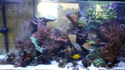 IMG-20160421-WA0006.jpg
