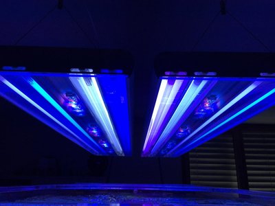 IMG_4581.jpg