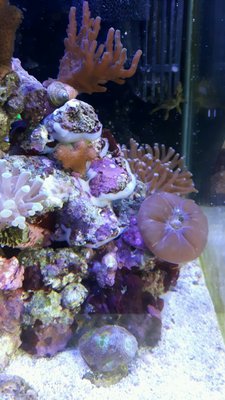 20160505_143044-1200x2133.jpg