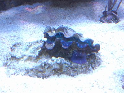 IMG_20160509_185732.jpg