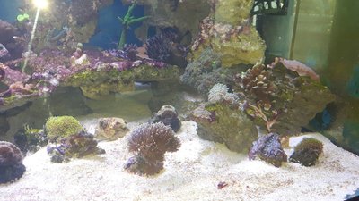 IMG-20160511-WA0015.jpg