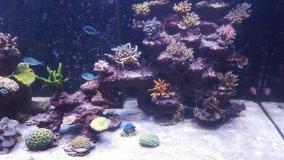 20160524_203233.jpg