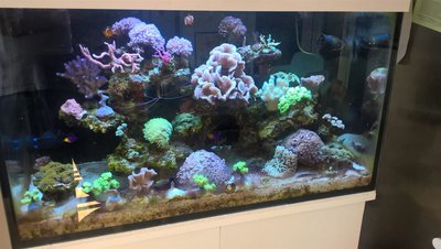 2016-05-27.jpg