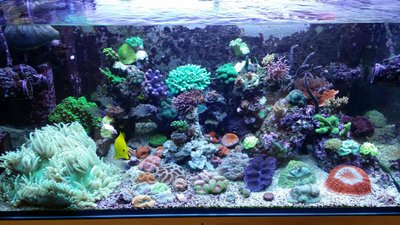 IMG-20160528-WA0014.jpg