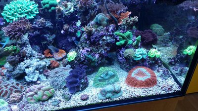IMG-20160528-WA0017.jpg