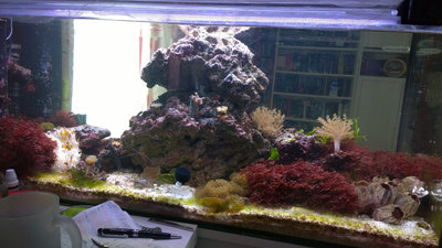 Aquarium_klein_web.jpg
