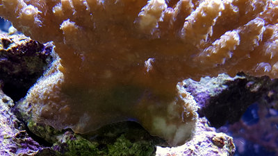 20160604_143518.jpg