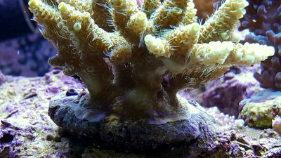 20160604_143511.jpg