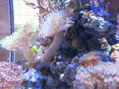 IMG_4635a.jpg