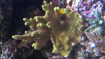 WP_20160609_16_02_08_Pro.JPG