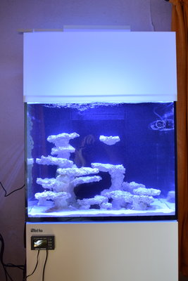 Reefer170.jpg