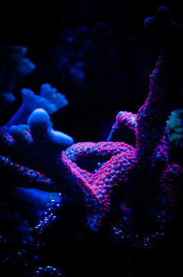 DSC_1454.jpg