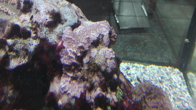 IMG-20160620-WA0018.jpg