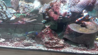 IMG-20160620-WA0019.jpg