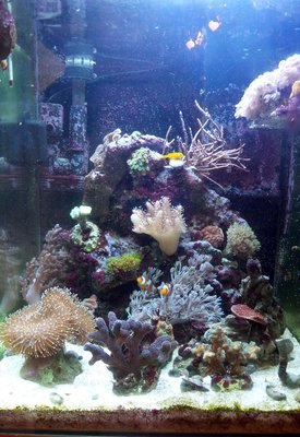 20160626_172126.jpg