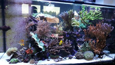 IMG-20160710-WA0035.jpg