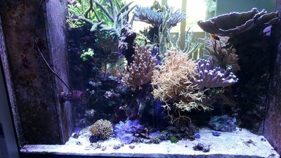 IMG-20160710-WA0027.jpg