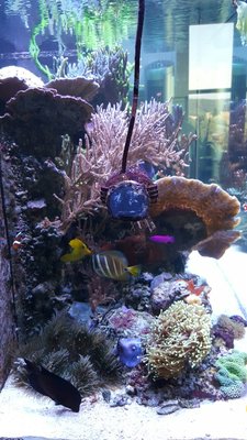 IMG-20160710-WA0025.jpg