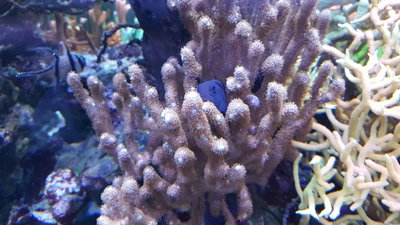 IMG-20160710-WA0028.jpg