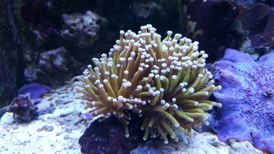 IMG-20160710-WA0023.jpg