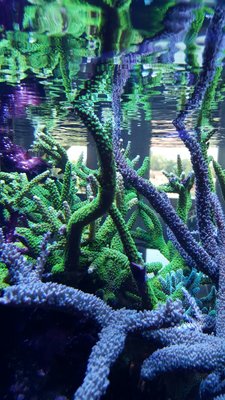IMG-20160710-WA0022.jpg