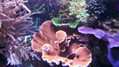 IMG-20160710-WA0030.jpg