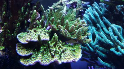 IMG-20160710-WA0034.jpg