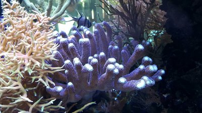 IMG-20160710-WA0037.jpg