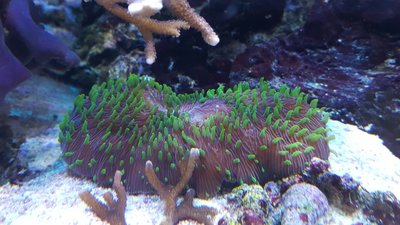 IMG-20160710-WA0038.jpg