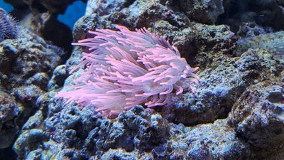IMG-20160522-WA0008.jpg