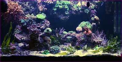 comp_730B0020a.jpg