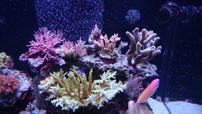 DSC_0549.jpg
