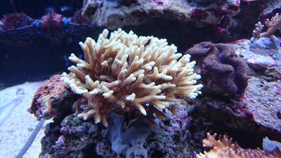 DSC_0565.jpg