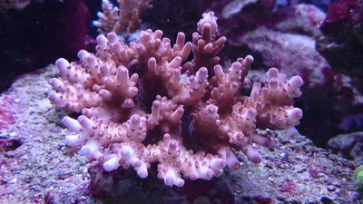 DSC_0567.jpg