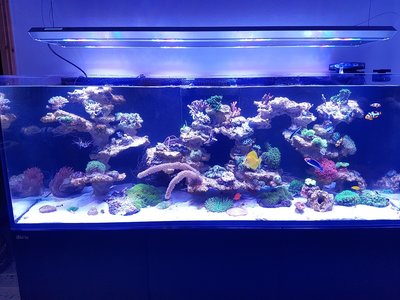 20160805_182444.jpg