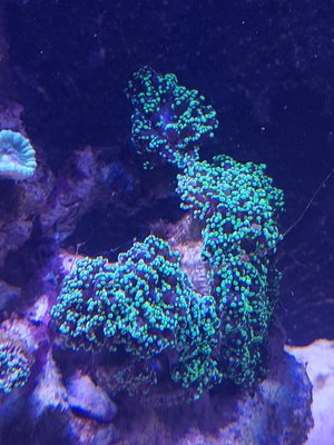 20160815_181127.jpg