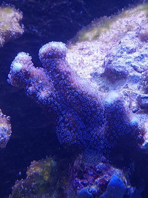 20160815_181138.jpg