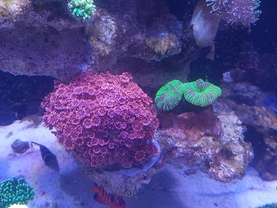 20160815_181228.jpg
