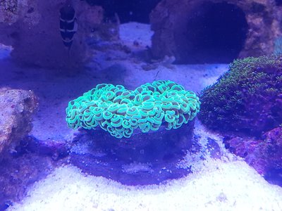 20160815_181241.jpg