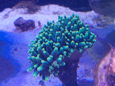 20160815_181248.jpg