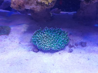 20160815_181300.jpg