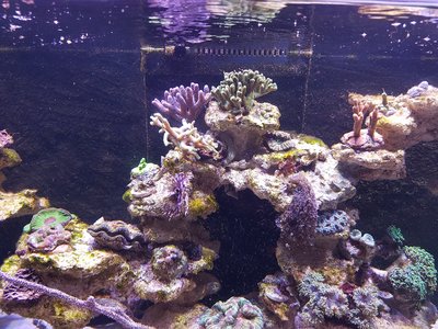 20160816_205239.jpg