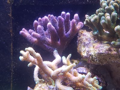 20160816_205249.jpg
