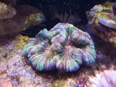 20160816_205312.jpg