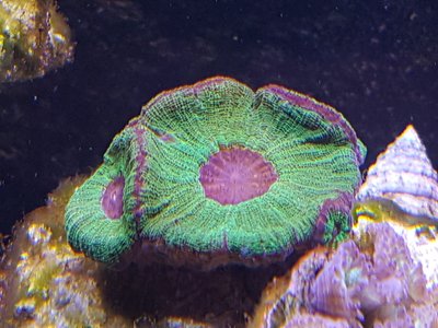 20160816_205319.jpg