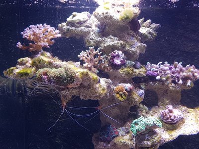 20160816_205328.jpg